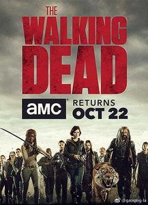 行尸走肉第八季手机在线观看