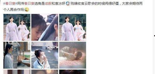 春日宴最新爆料,揭秘幕后故事，明星阵容大揭秘！